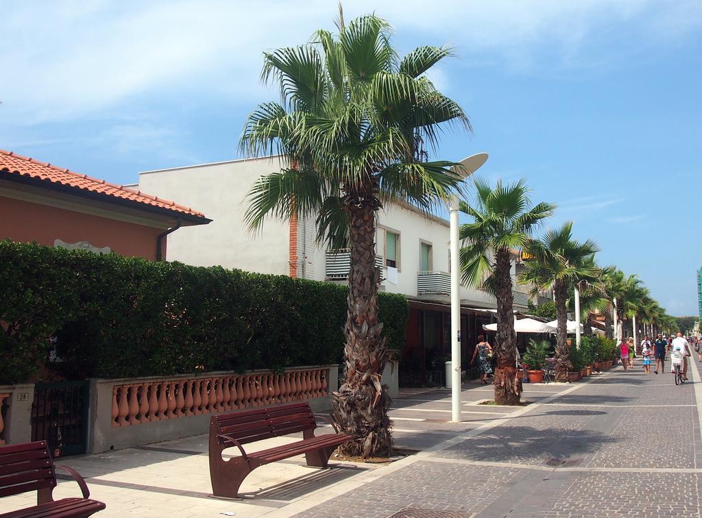 מרינה די צ'צ'ינה Hotel Aurora מראה חיצוני תמונה